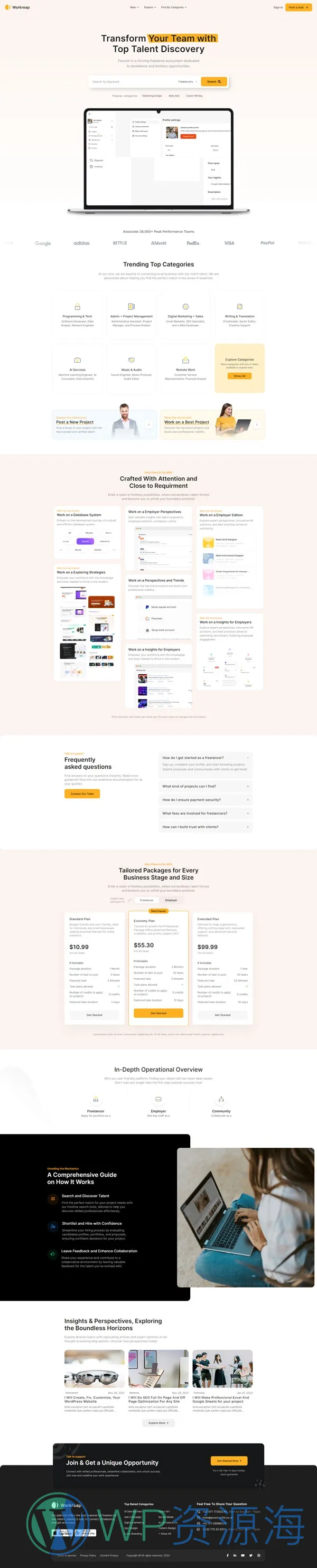 Workreap-求职招聘找工作网站模板WordPress主题插图15-WP资源海