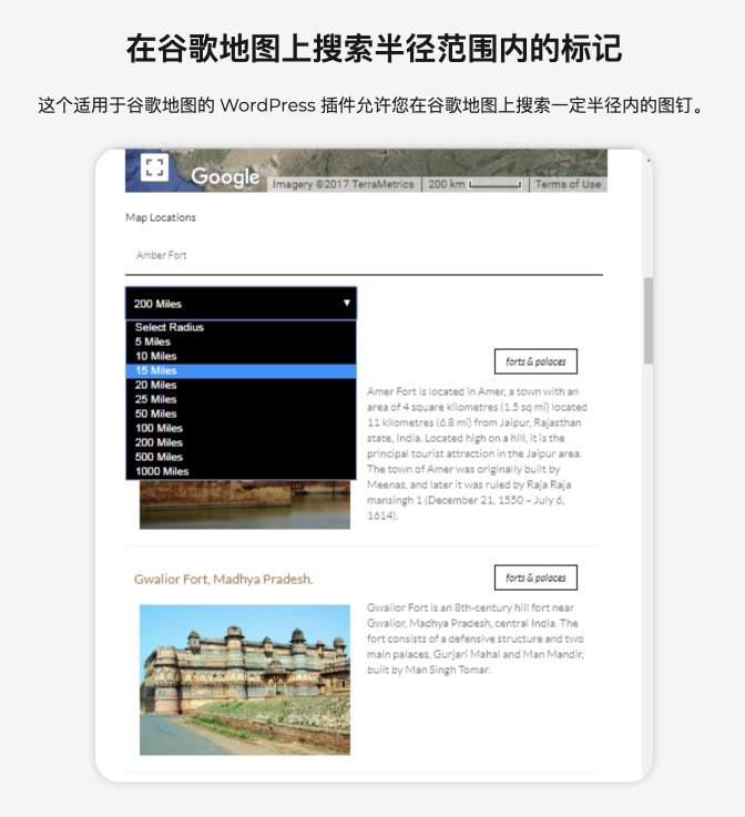 WP MAPS PRO-高级版谷歌地图管理与嵌入WordPress插件[更至v5.8.0]图片20