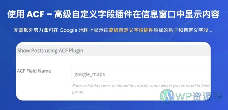 WP Maps Pro-功能超全的谷歌地图WordPress插件插图12-WP资源海