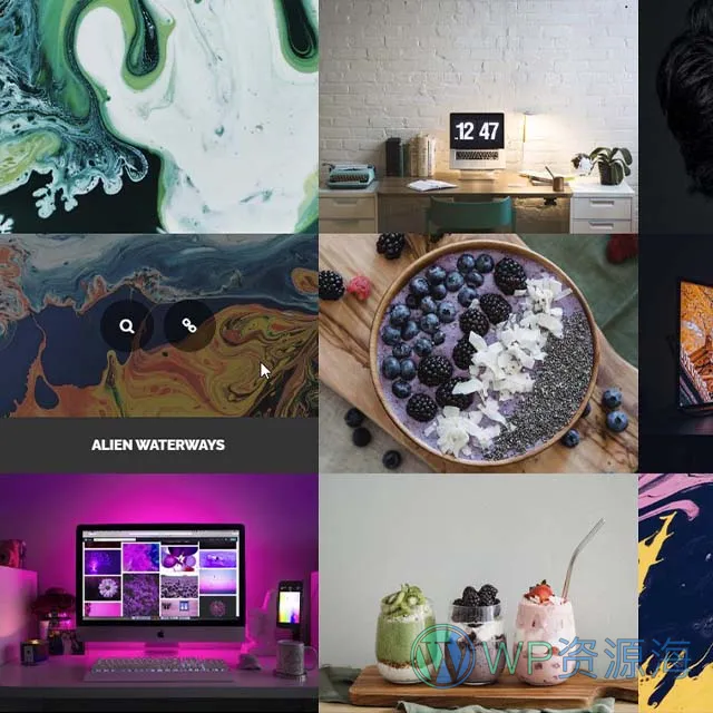 Essential Grid Gallery-网格图片图库相册画廊WordPress插件插图5-WP资源海