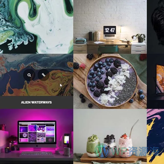 Essential Grid Gallery-网格图片图库相册画廊WordPress插件[更至v3.1.5]插图5-WordPress资源海