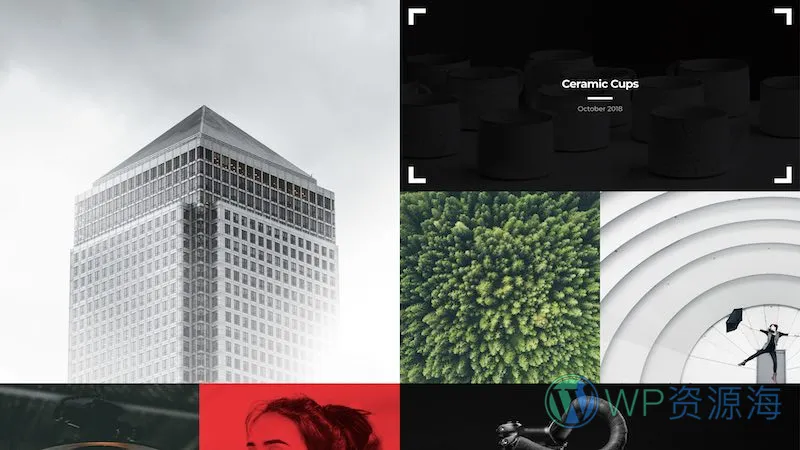 Essential Grid Gallery-网格图片图库相册画廊WordPress插件插图4-WP资源海