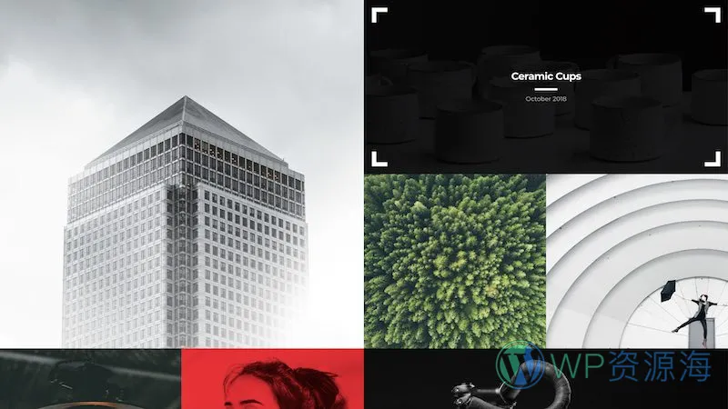 Essential Grid Gallery-网格图片图库相册画廊WordPress插件[更至v3.1.5]插图4-WordPress资源海