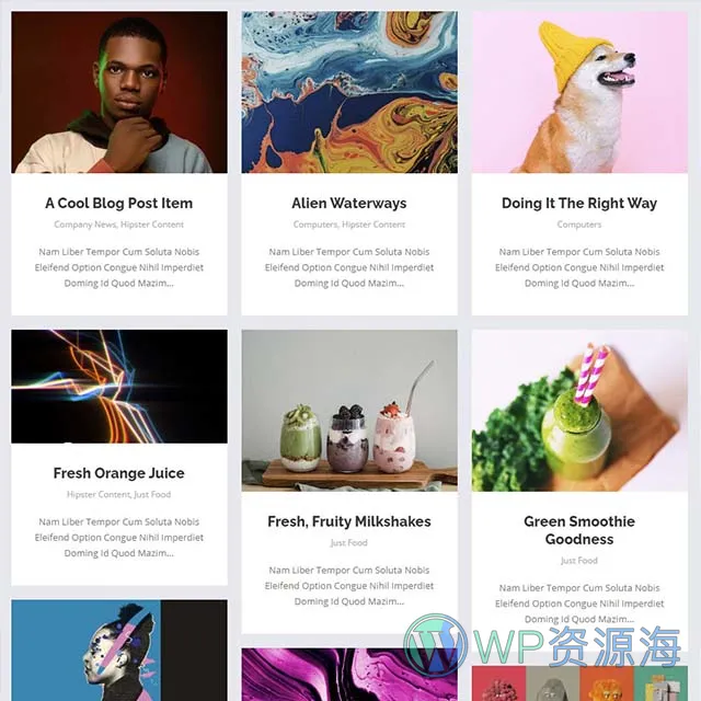 Essential Grid Gallery-网格图片图库相册画廊WordPress插件插图8-WP资源海