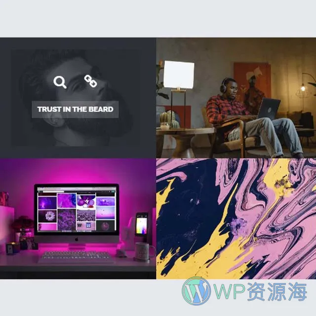 Essential Grid Gallery-网格图片图库相册画廊WordPress插件插图12-WP资源海
