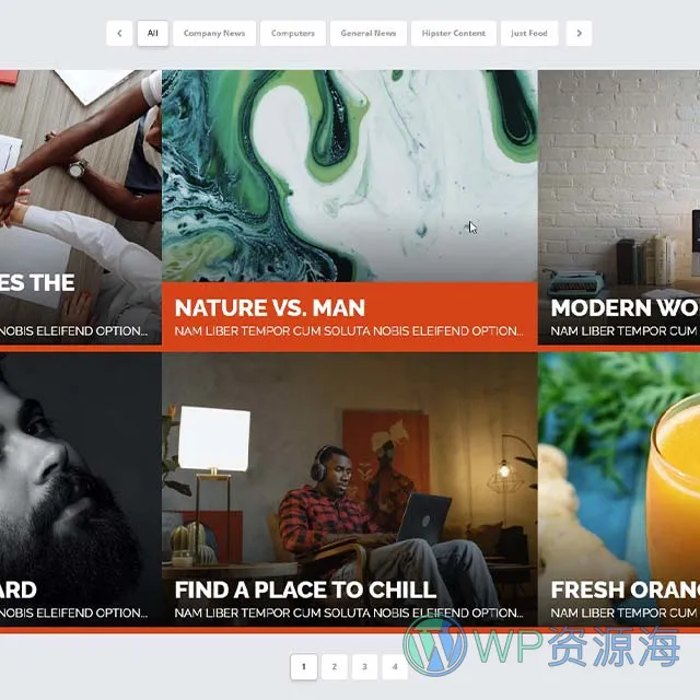 Essential Grid Gallery-网格图片图库相册画廊WordPress插件插图17-WP资源海