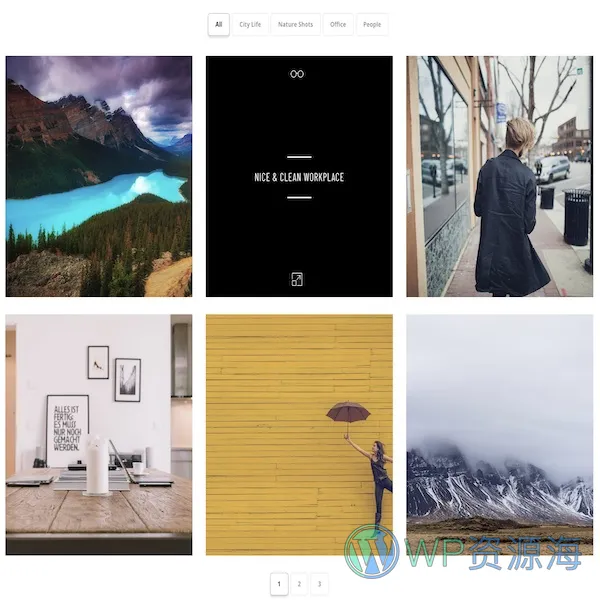 Essential Grid Gallery-网格图片图库相册画廊WordPress插件插图28-WP资源海