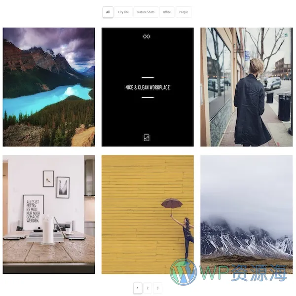 Essential Grid Gallery-网格图片图库相册画廊WordPress插件[更至v3.1.5]插图28-WordPress资源海