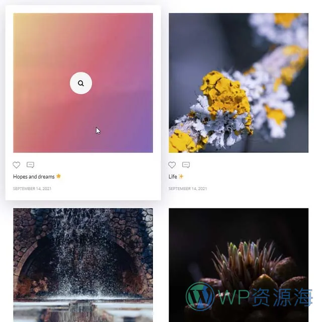 Essential Grid Gallery-网格图片图库相册画廊WordPress插件[更至v3.1.5]插图37-WordPress资源海