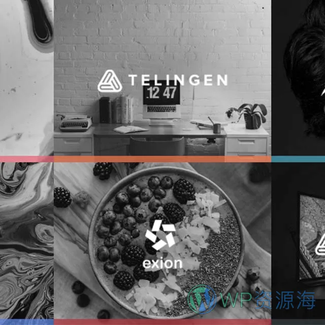Essential Grid Gallery-网格图片图库相册画廊WordPress插件插图35-WP资源海