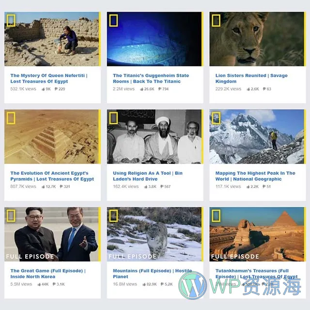 Essential Grid Gallery-网格图片图库相册画廊WordPress插件插图32-WP资源海