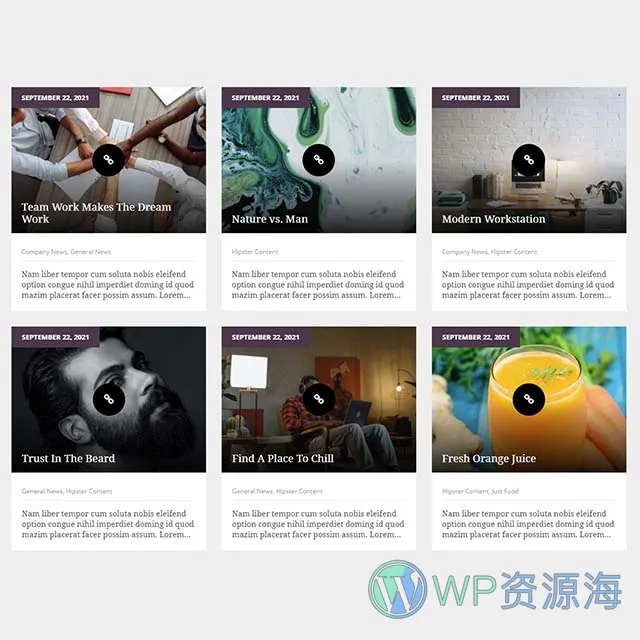 Essential Grid Gallery-网格图片图库相册画廊WordPress插件插图39-WP资源海