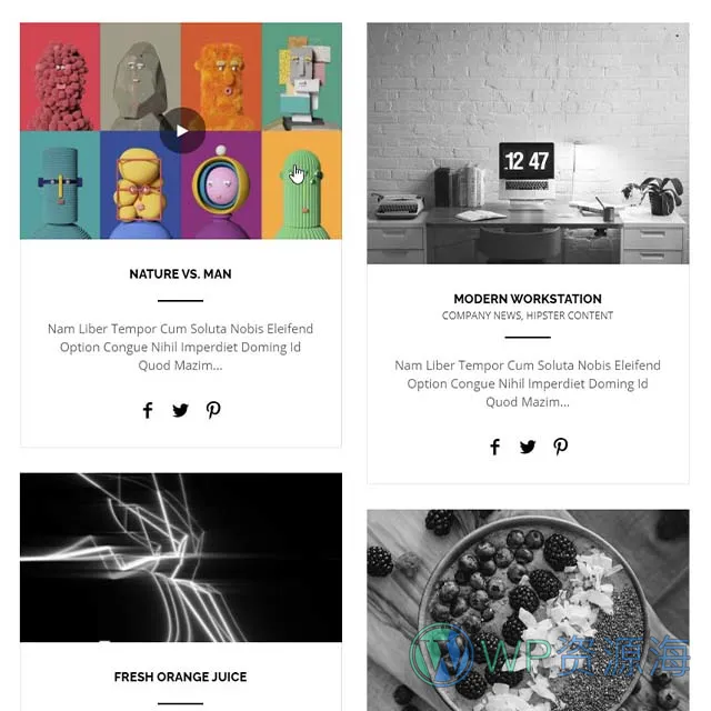 Essential Grid Gallery-网格图片图库相册画廊WordPress插件插图43-WP资源海