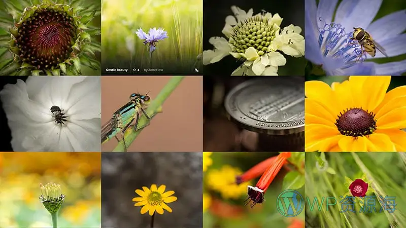 Essential Grid Gallery-网格图片图库相册画廊WordPress插件[更至v3.1.5]插图49-WordPress资源海