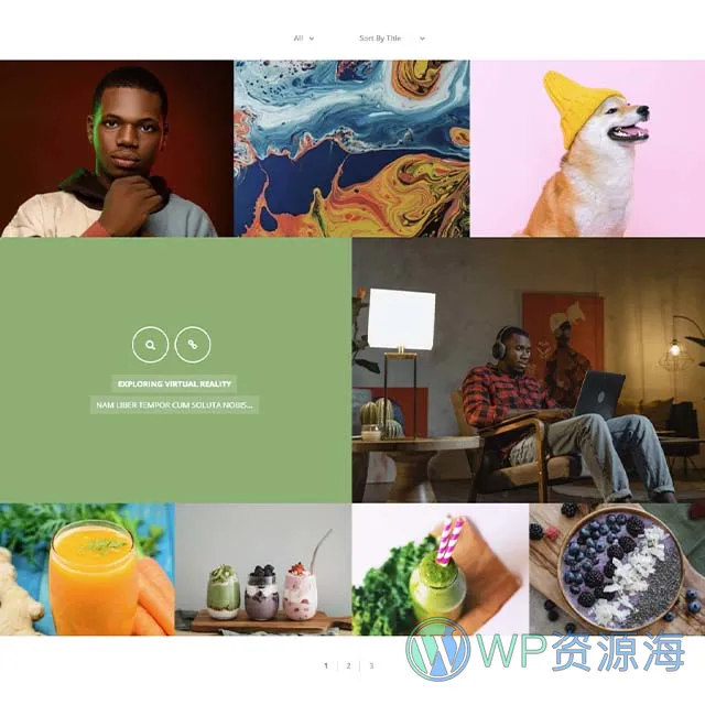 Essential Grid Gallery-网格图片图库相册画廊WordPress插件插图47-WP资源海