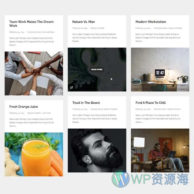 Essential Grid Gallery-网格图片图库相册画廊WordPress插件插图57-WP资源海