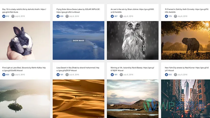 Essential Grid Gallery-网格图片图库相册画廊WordPress插件[更至v3.1.5]插图59-WordPress资源海