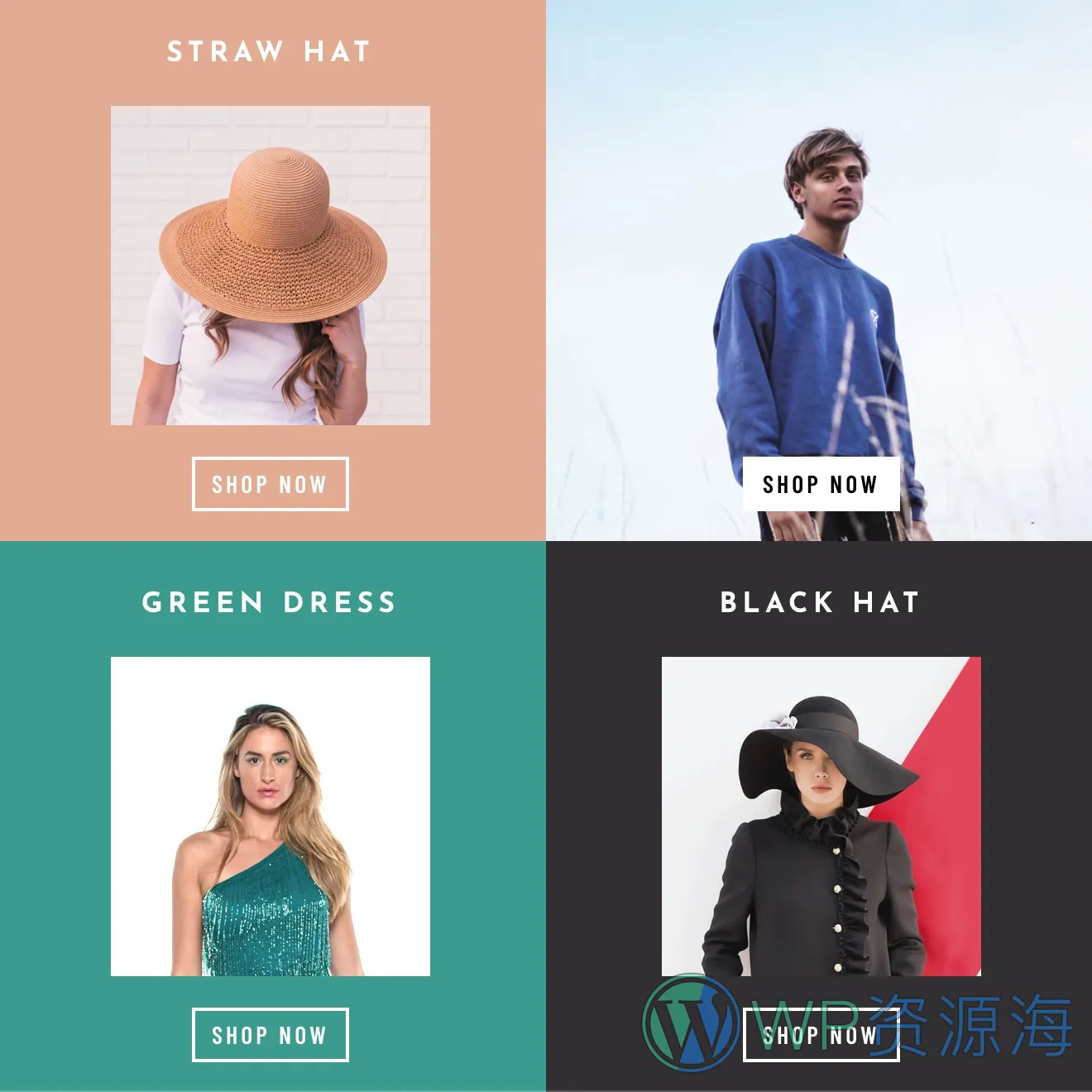 Essential Grid Gallery-网格图片图库相册画廊WordPress插件插图61-WP资源海