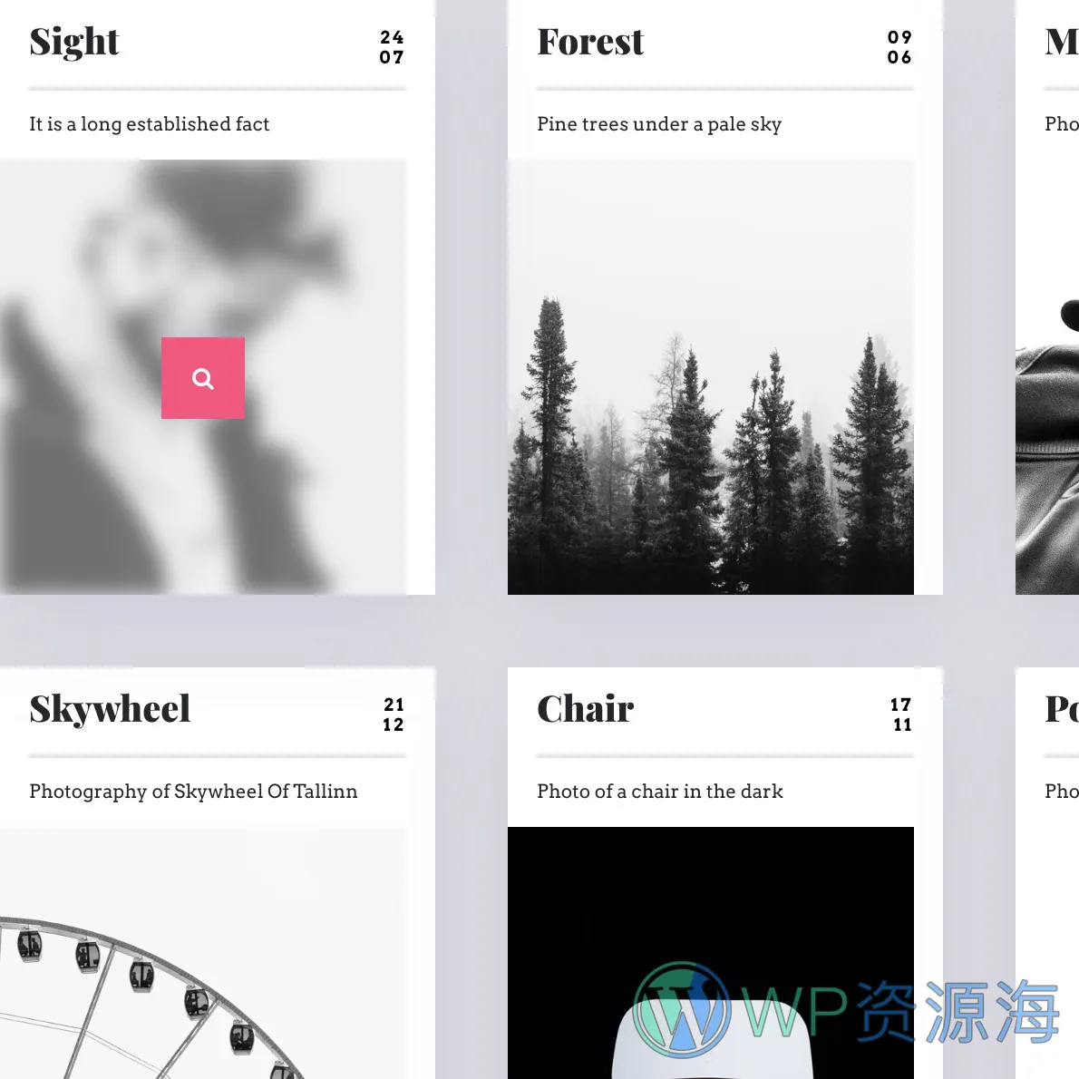 Essential Grid Gallery-网格图片图库相册画廊WordPress插件插图62-WP资源海