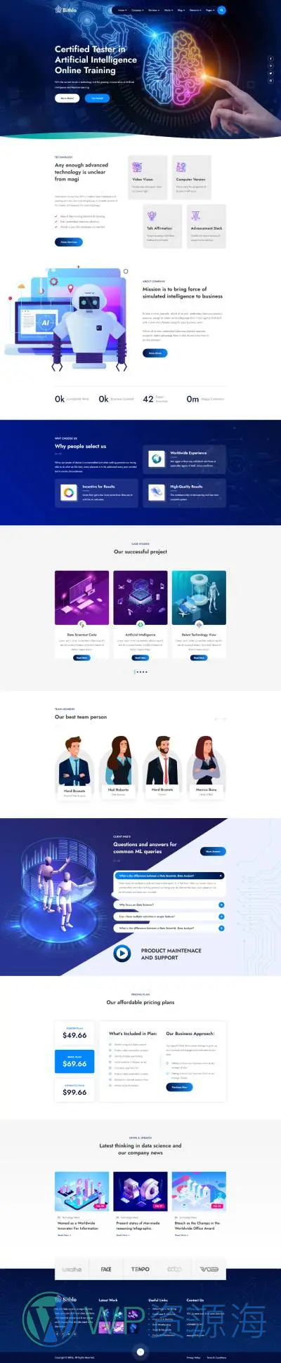 Bithlo：数据科学与人工智能网站HTML模板插图3-WP资源海