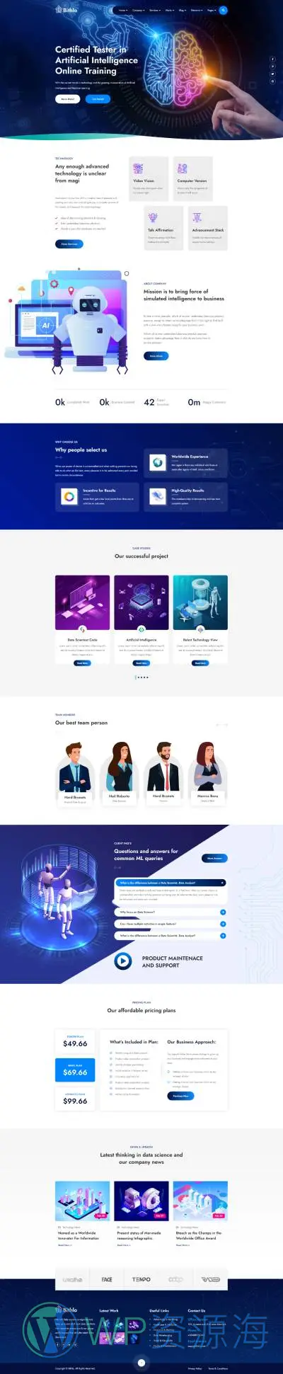 Bithlo：数据科学与人工智能网站HTML模板插图3-WordPress资源海