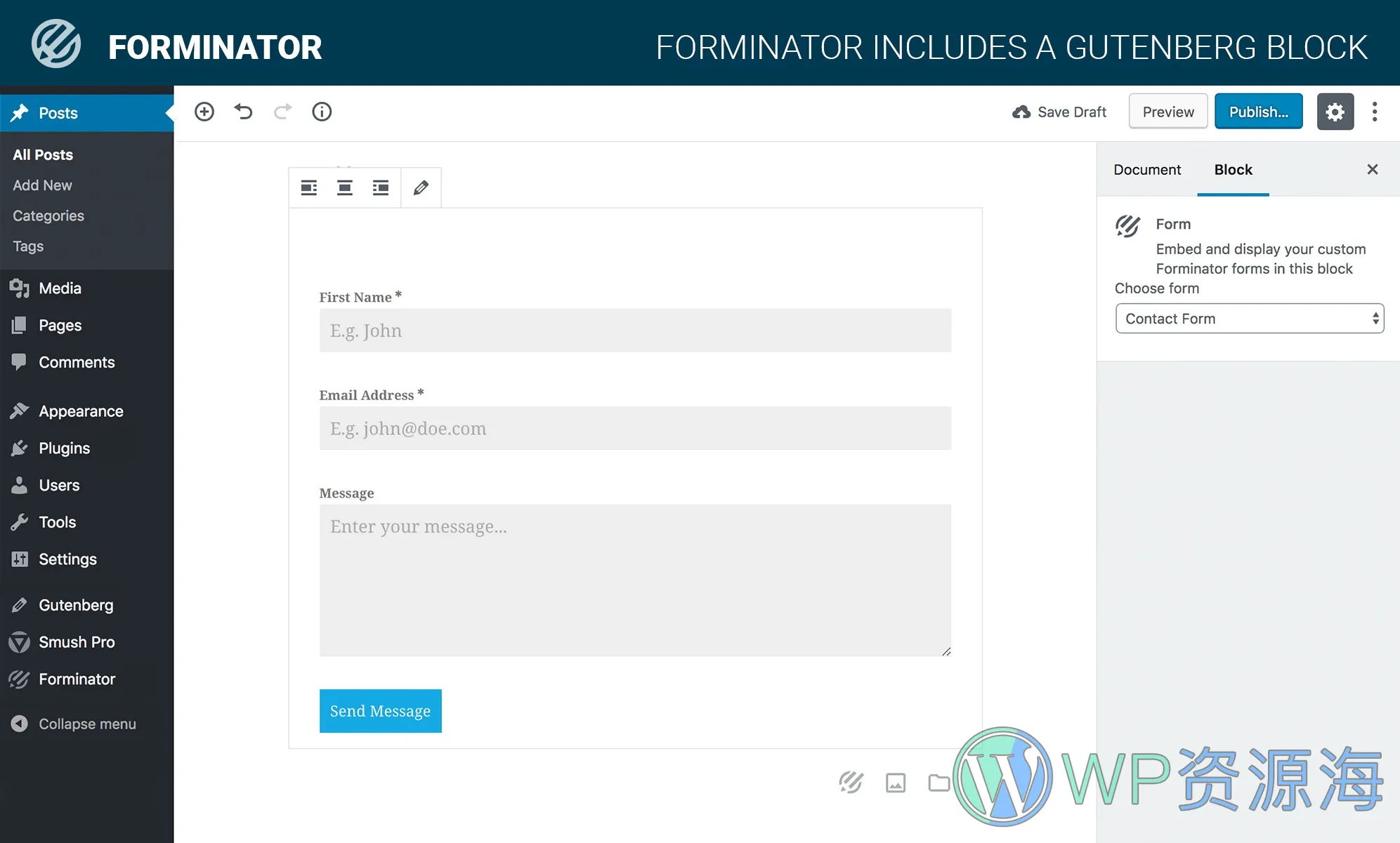 Forminator Pro-用专业表单插件提高WordPress网站转化率插图5-WP资源海 Forminator Pro-用专业表单插件提高WordPress网站转化率插图5-WP资源海