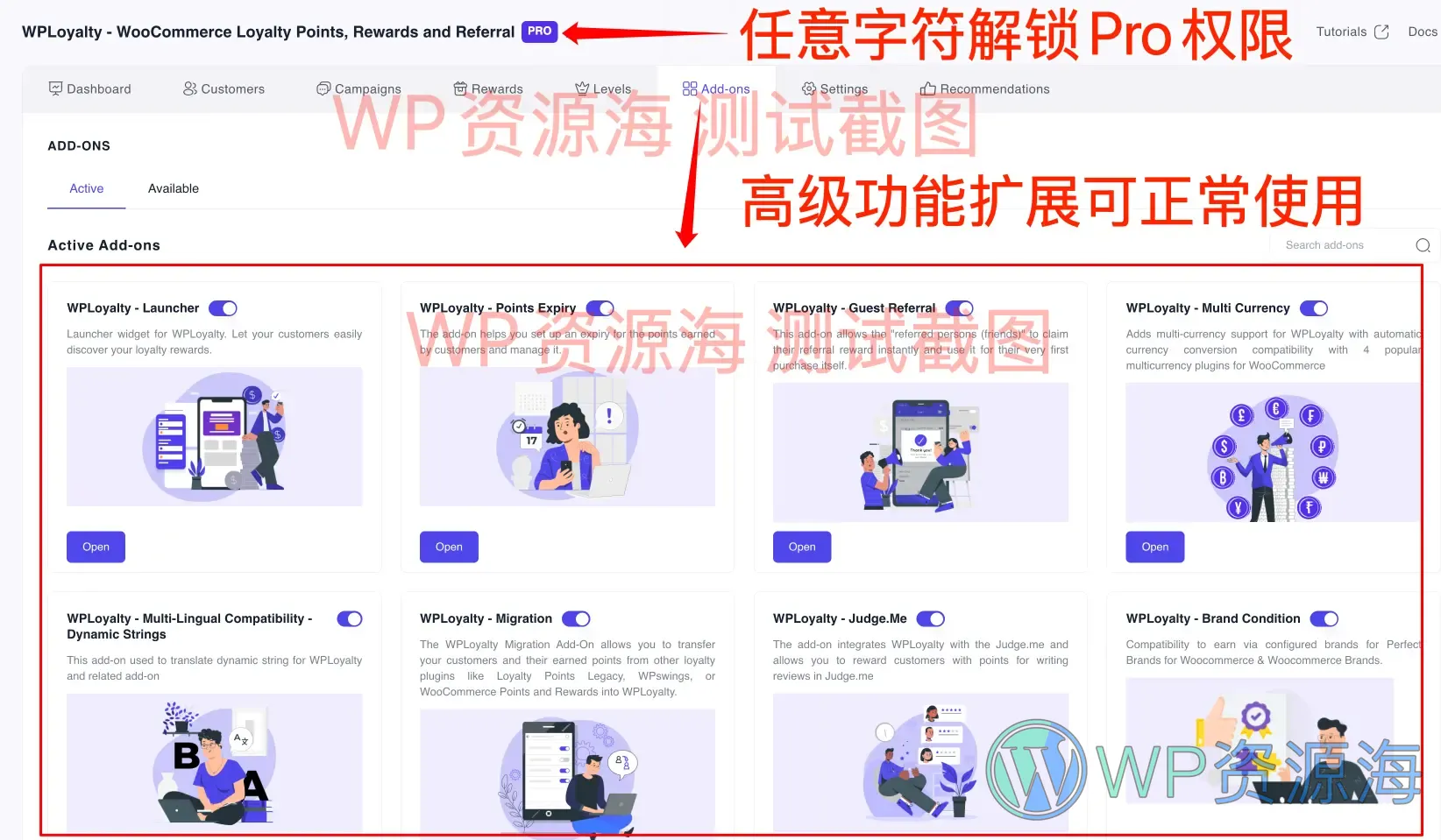 WPLoyalty Pro-最受欢迎的WooCommerce积分和奖励插件插图1-WP资源海