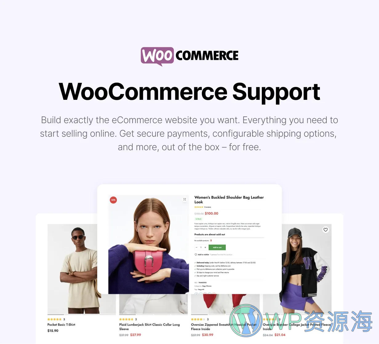 Blonwe-多用途跨境电商网站模板WordPress主题插图4-WP资源海