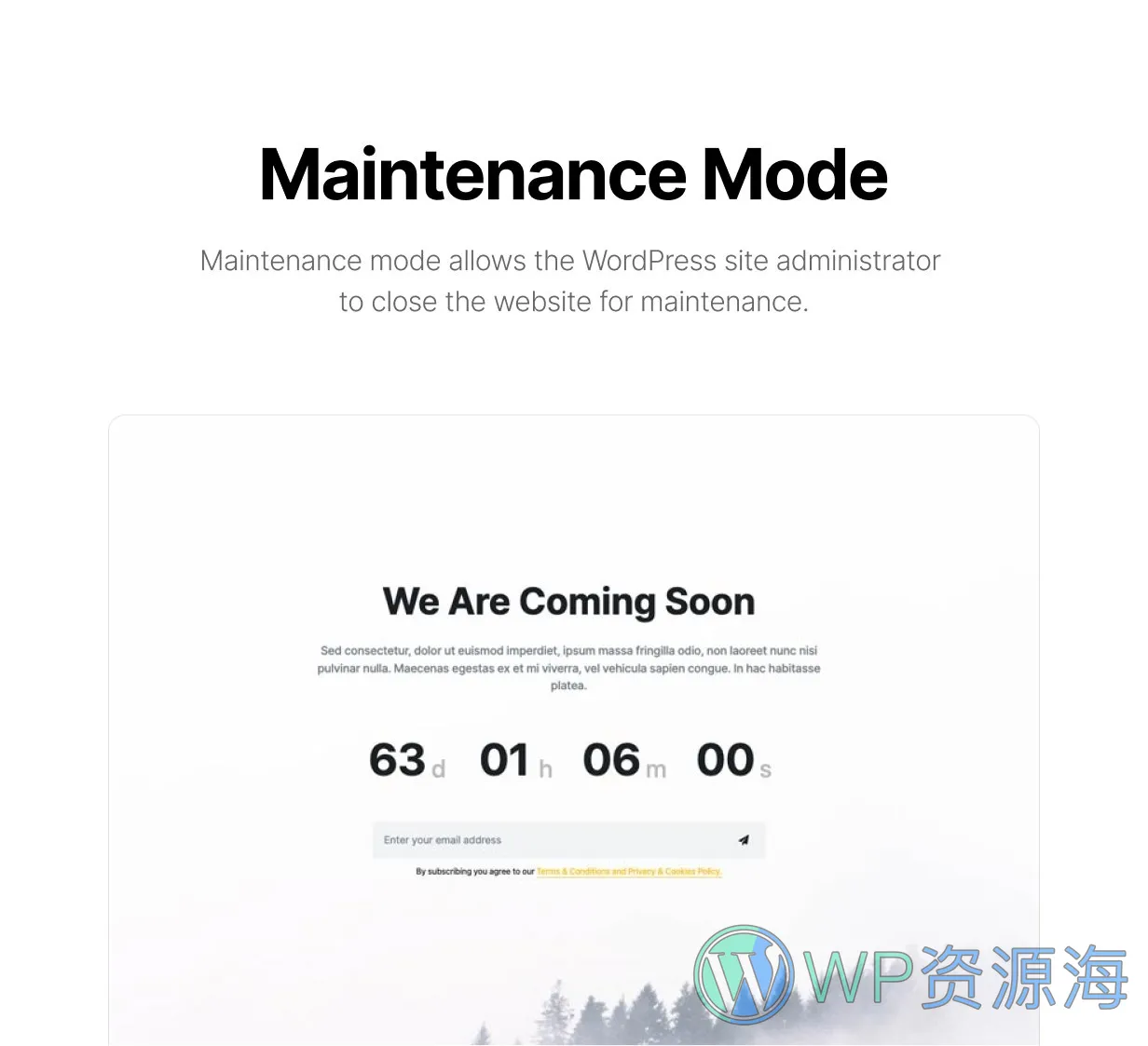 Blonwe-多用途跨境电商网站模板WordPress主题插图16-WP资源海