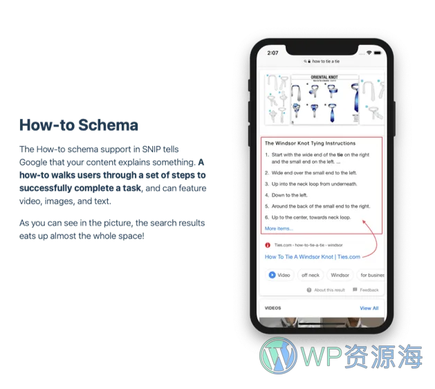 SNIP-搜索结果展示优化WordPress SEO插件插图7-WP资源海
