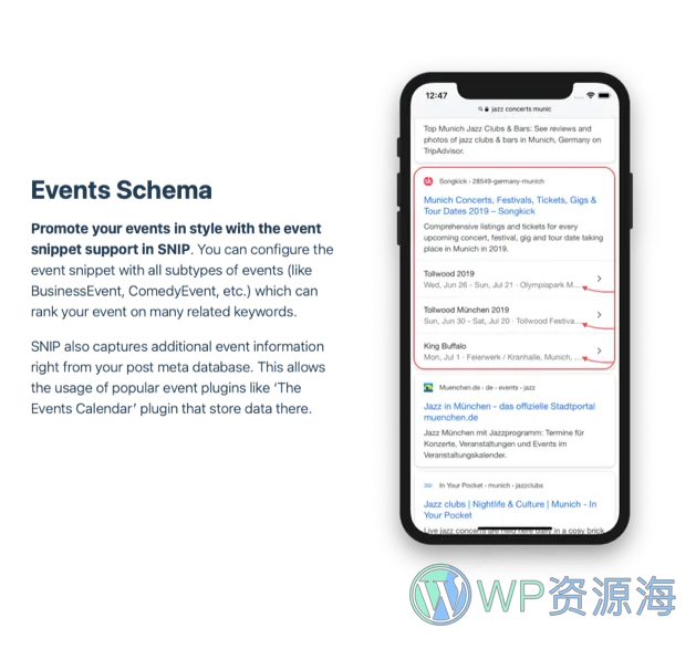 SNIP-搜索结果展示优化WordPress SEO插件插图5-WP资源海