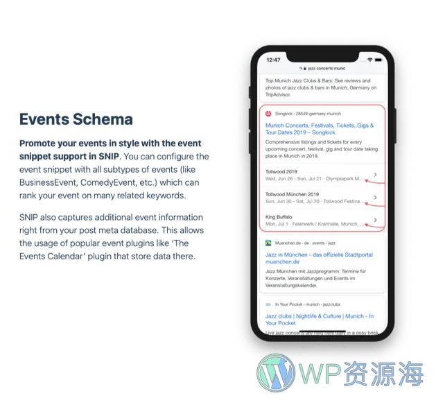 SNIP-WordPress结构化数据与Schema插件[更至v2.31.8]插图5-WordPress资源海