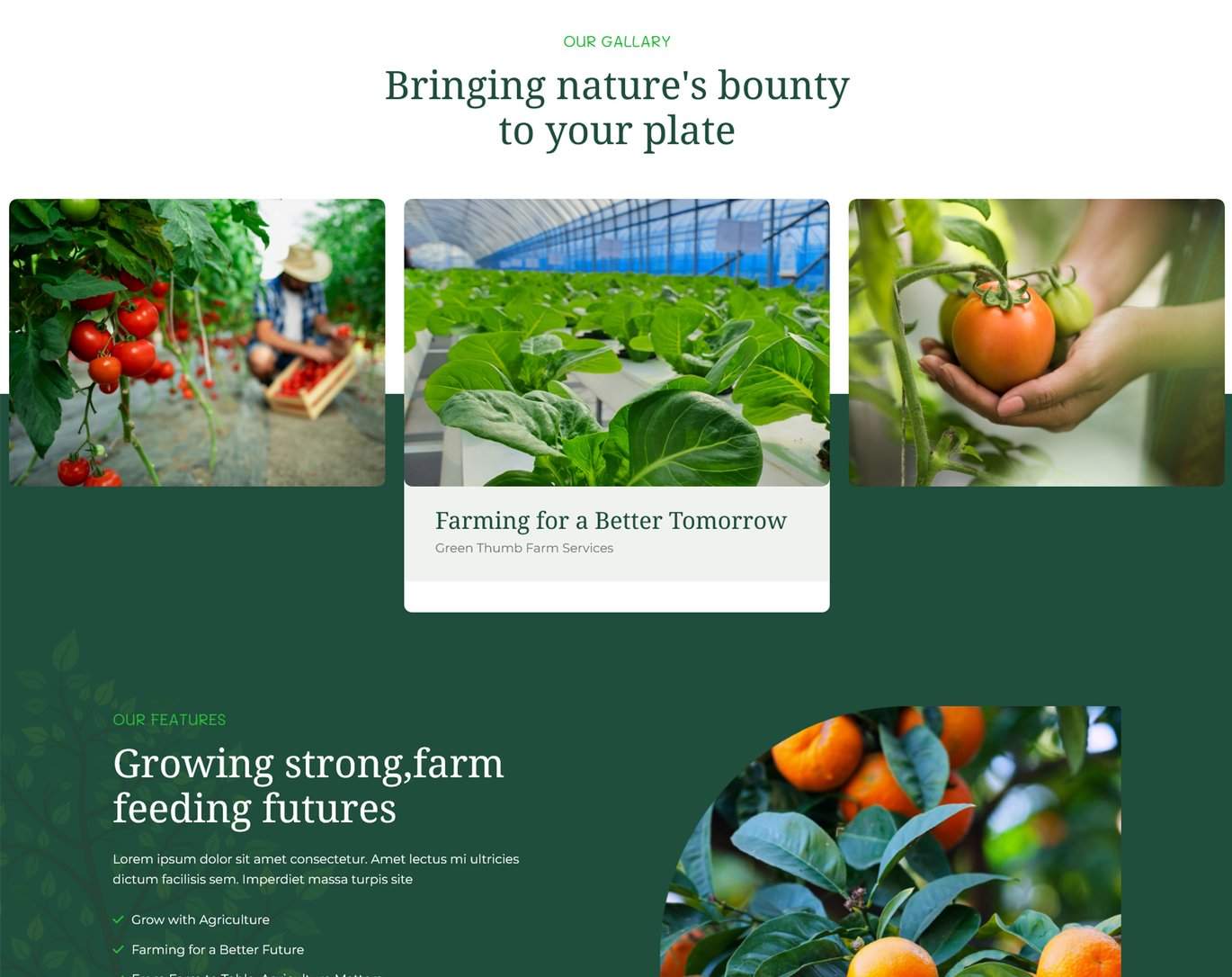 Farmhub-绿色农业有机食品农场网站HTML模板插图10-WP资源海 Farmhub-绿色农业有机食品农场网站HTML模板插图10-WP资源海