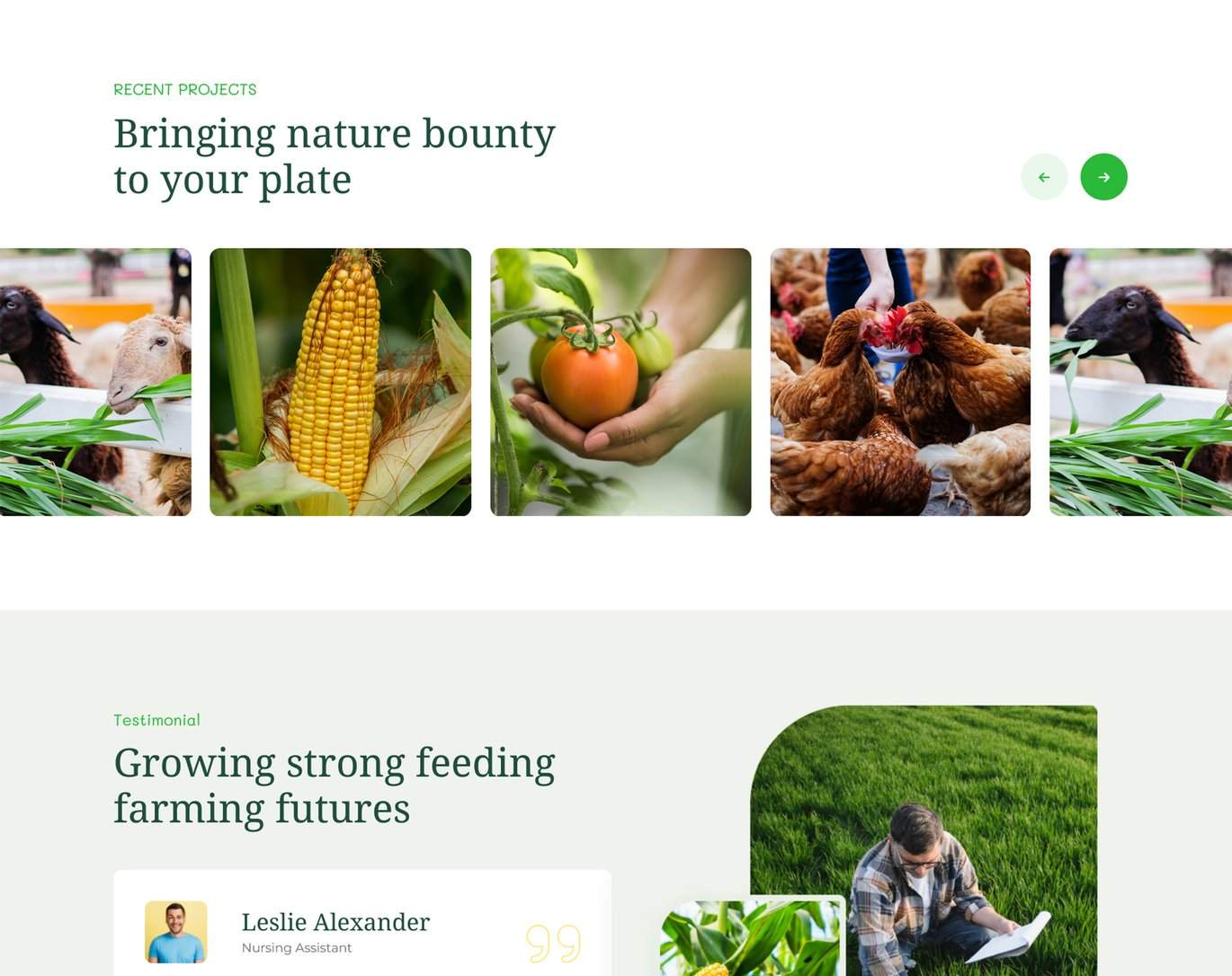 Farmhub-绿色农业有机食品农场网站HTML模板插图4-WP资源海 Farmhub-绿色农业有机食品农场网站HTML模板插图4-WP资源海