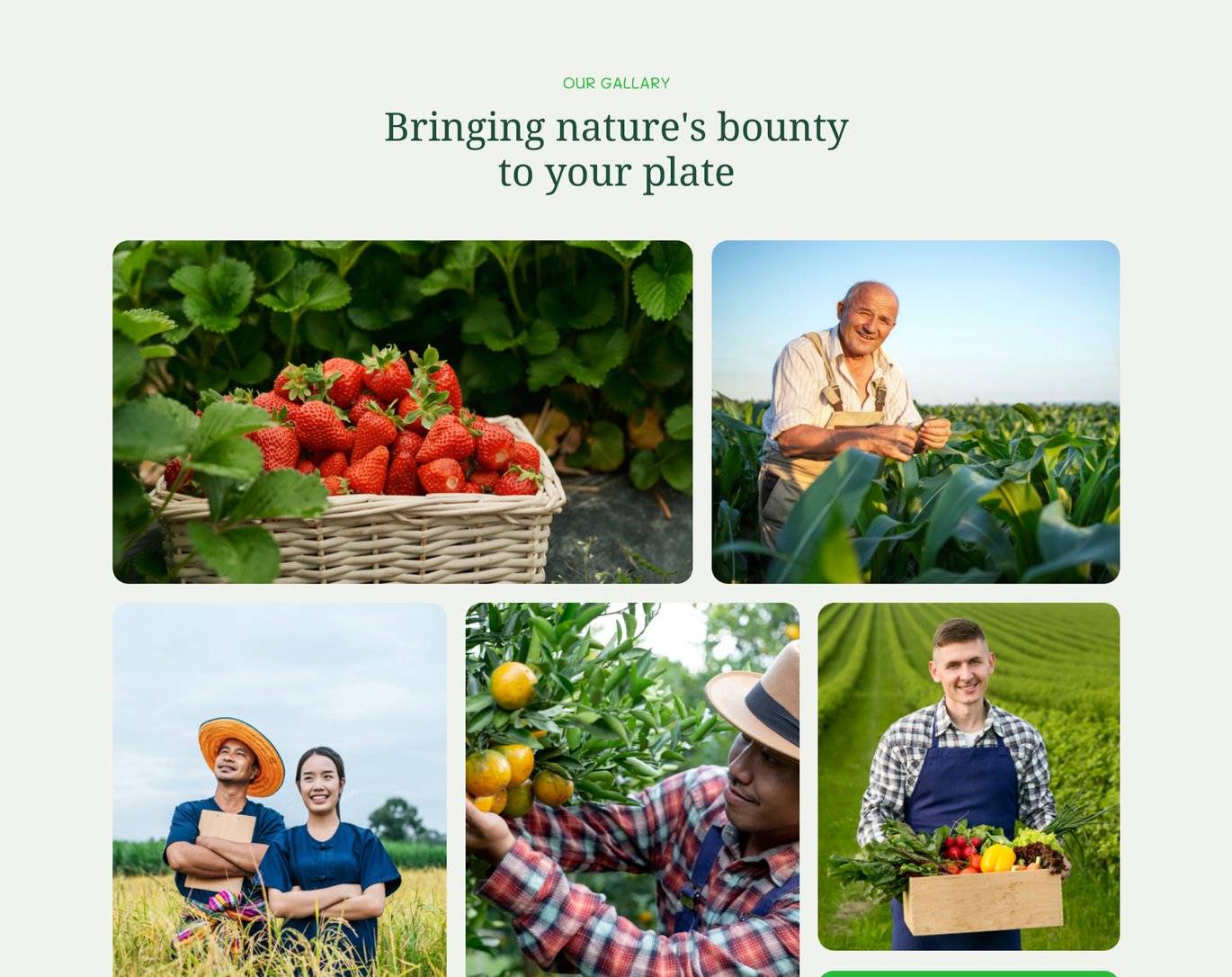 Farmhub-绿色农业有机食品农场网站HTML模板插图11-WP资源海 Farmhub-绿色农业有机食品农场网站HTML模板插图11-WP资源海