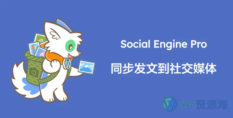 Social Engine Pro-社交媒体平台同步发文WordPress插件[更至v0.7.0]插图-WP资源海