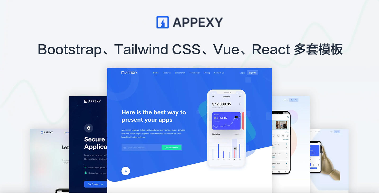 Appexy-漂亮多用途企业网站模板多版本下载图片