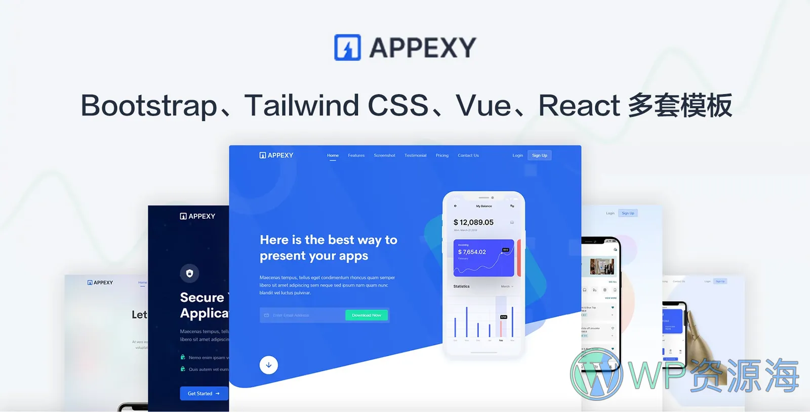 Appexy-漂亮多用途企业网站模板多版本下载插图-WP资源海