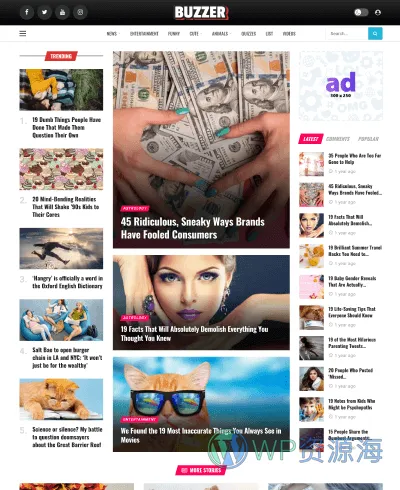 Newsy-新闻博客自媒体网站WordPress主题插图14-WP资源海