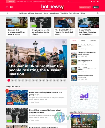 Newsy-新闻博客自媒体网站WordPress主题插图11-WP资源海