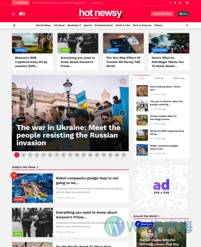 Newsy-新闻博客自媒体网站WordPress主题[更至v2.5.4]插图10-WP资源海