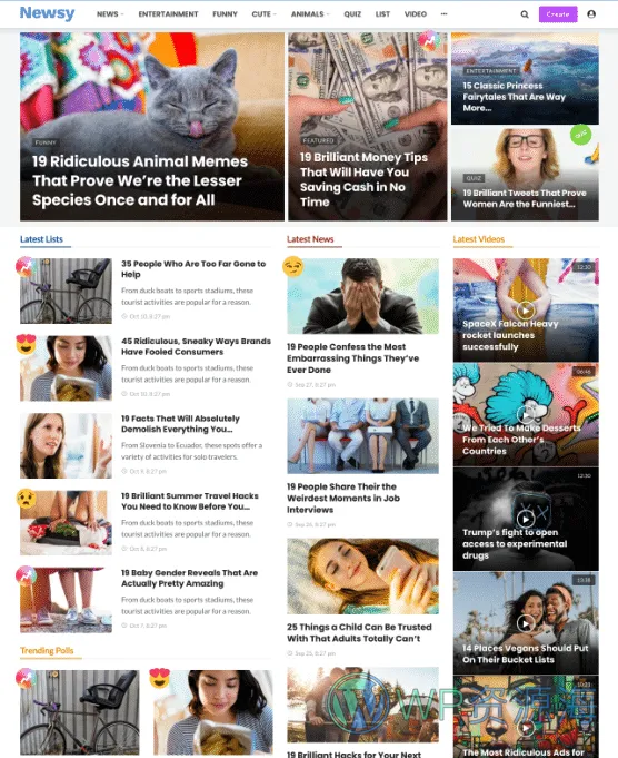 Newsy-新闻博客自媒体网站WordPress主题插图20-WP资源海