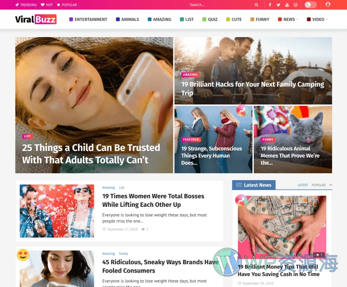 Newsy-新闻博客自媒体网站WordPress主题插图33-WP资源海