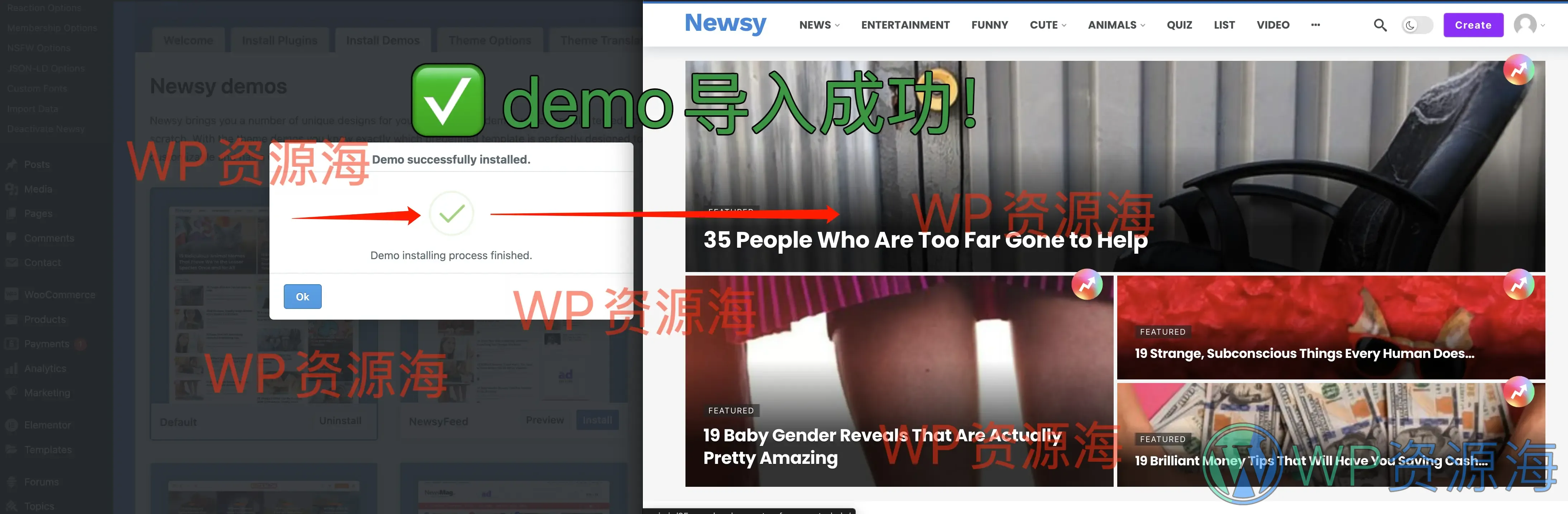 Newsy-新闻博客自媒体网站WordPress主题插图1-WP资源海