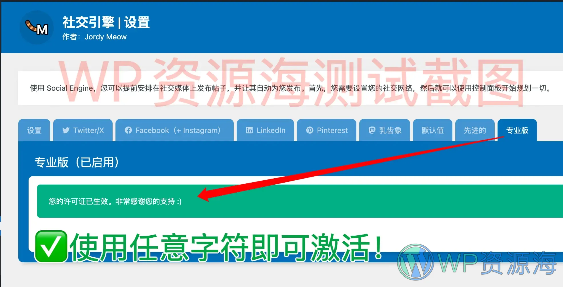 Social Engine Pro-社交媒体平台同步发文WordPress插件插图1-WP资源海