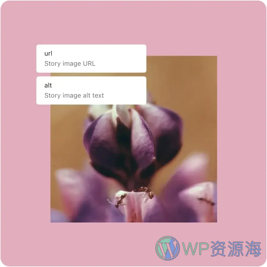 WordPress 6.7 已发布 来快速了解下更新内容吧！插图2-WP资源海