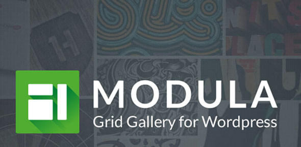 Modula Pro-文章图片灯箱展示与优化WordPress插件