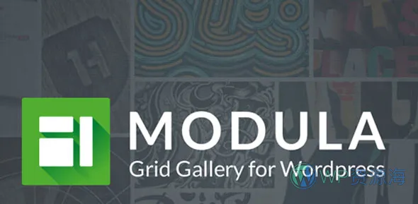 Modula Pro-文章图片灯箱展示与优化WordPress插件插图-WP资源海 Modula Pro-文章图片灯箱展示与优化WordPress插件插图-WP资源海