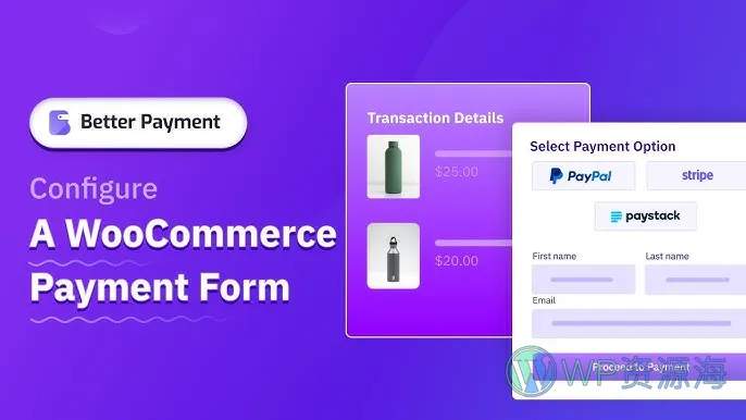 Better Payment Pro-更好的支付网关在线收款插件插图-WP资源海