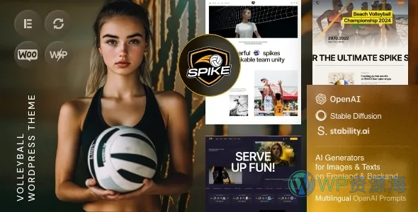 Spike-多功能排球网站模板WordPress主题插图-WP资源海